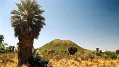 Ni la Falda ni Miramar: escapada a un pequeño pueblo serrano de Córdoba rodeado de palmas