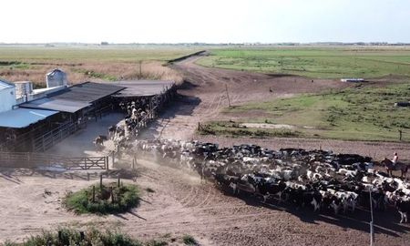 veterinarios de el broquel aclaran que dieron aviso a senasa sobre el foco de carbunclo veterinarios de el broquel aclaran que dieron aviso a senasa sobre el foco de carbunclo