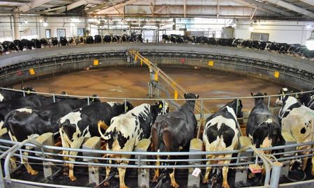 la lecheria argentina frente a un cambio de epoca: por que producir mas ya no alcanza la lecheria argentina frente a un cambio de epoca: por que producir mas ya no alcanza
