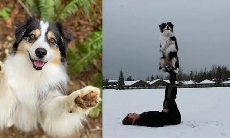 Viral: una perra es capaz de bailar y hacer yoga con su dueña. Viral: una perra es capaz de bailar y hacer yoga con su dueña.