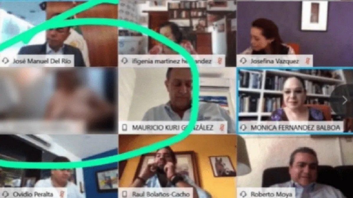 La senadora participó de una reunión virtual, pensó que la cámara estaba apagada y quedó en topless