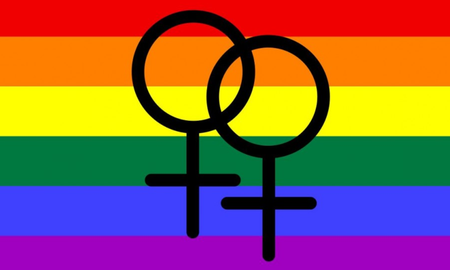 por que se conmemora el dia de la visibilidad lesbica y que busca visibilizar el movimiento por que se conmemora el dia de la visibilidad lesbica y que busca visibilizar el movimiento