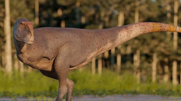 Investigadores y paleontólogos identificaron una nueva especie de dinosaurio carnívoro.
