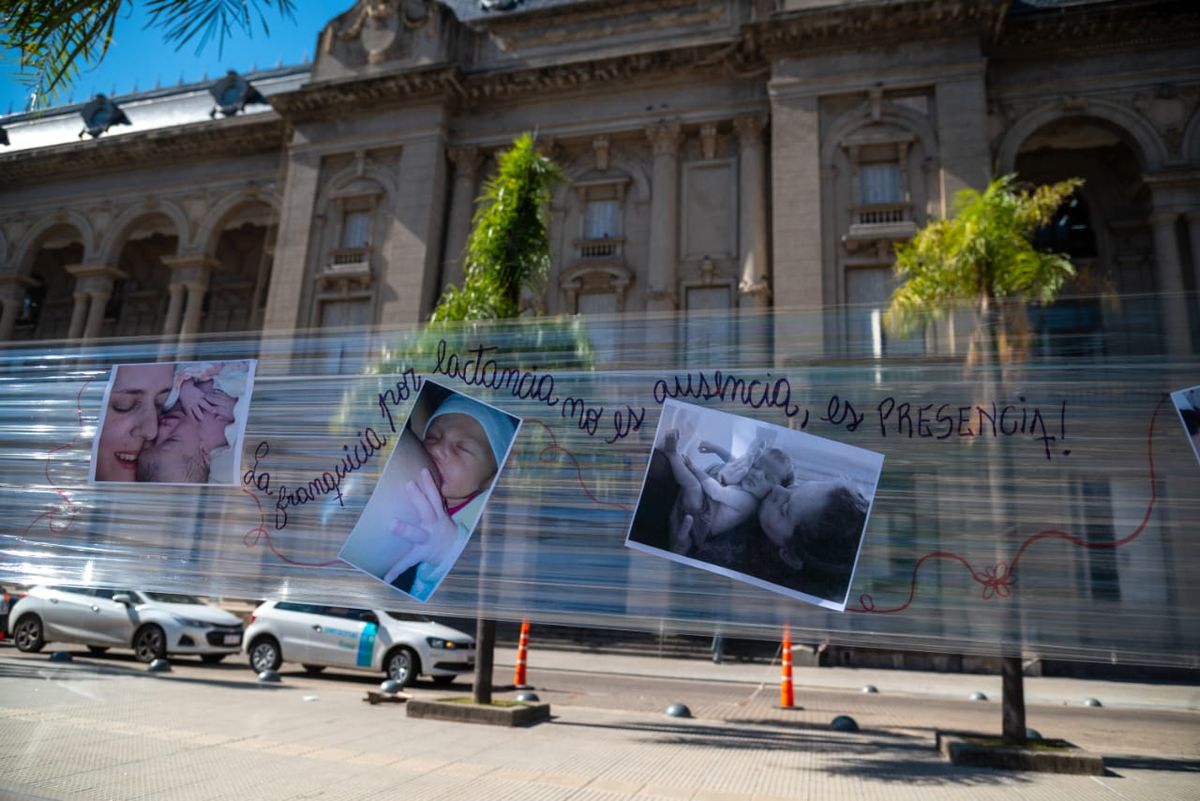 Sadop realizó un Sadop realizó un