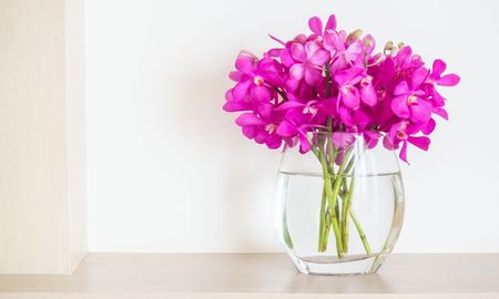 Cómo hacer para que las flores en el florero duren más tiempo. Cómo hacer para que las flores en el florero duren más tiempo.
