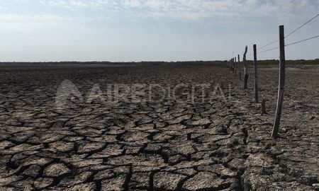 Casi el 40% de los suelos argentinos enfrenta problemas de degradación por la pérdida de masa boscosa y también por la erosión hídrica y eólica. También influye la agricultura. Casi el 40% de los suelos argentinos enfrenta problemas de degradación por la pérdida de masa boscosa y también por la erosión hídrica y eólica. También influye la agricultura.
