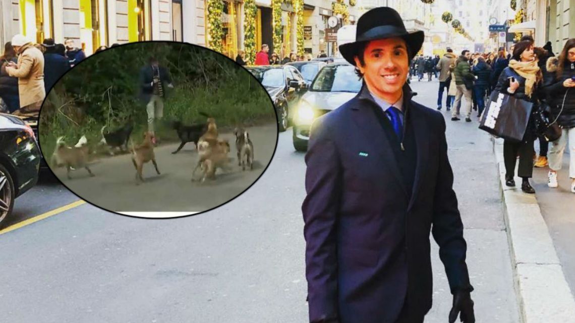 Robertito Funes Ugarte fue atacado al aire por un grupo de perros