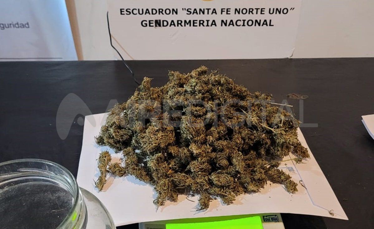 La marihuana secuestrada iba en frascos de vidrio guardados dentro de una caja y una mochila. La marihuana secuestrada iba en frascos de vidrio guardados dentro de una caja y una mochila.
