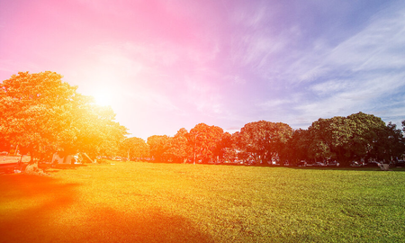Equinoccio de primavera: ¿por qué la primavera comienza el 23 de septiembre? Equinoccio de primavera: ¿por qué la primavera comienza el 23 de septiembre?