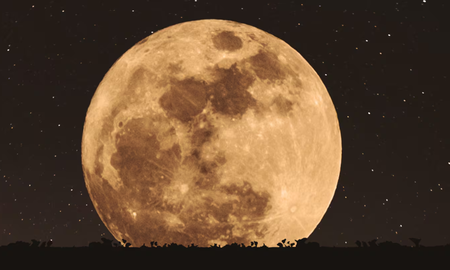 luna nueva en leo 2025: como impacta en cada signo