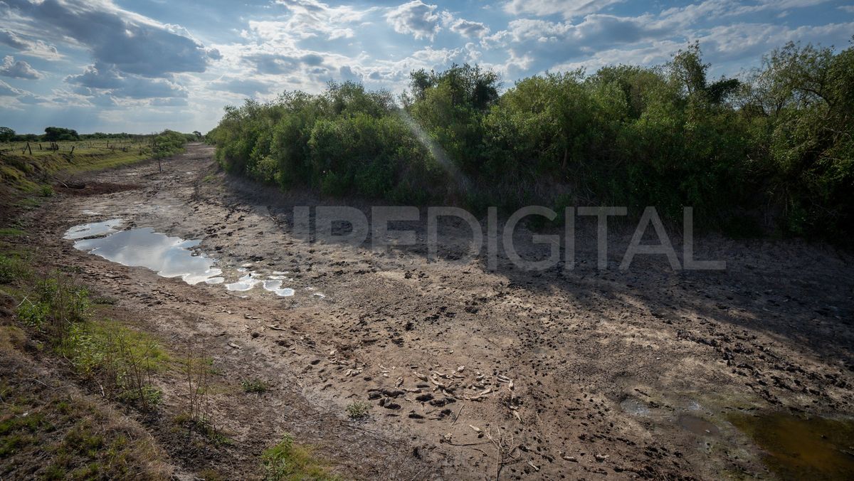 El paisaje se repite, los lechos de arroyos y ríos están totalmente secos y a la espera de las lluvias.