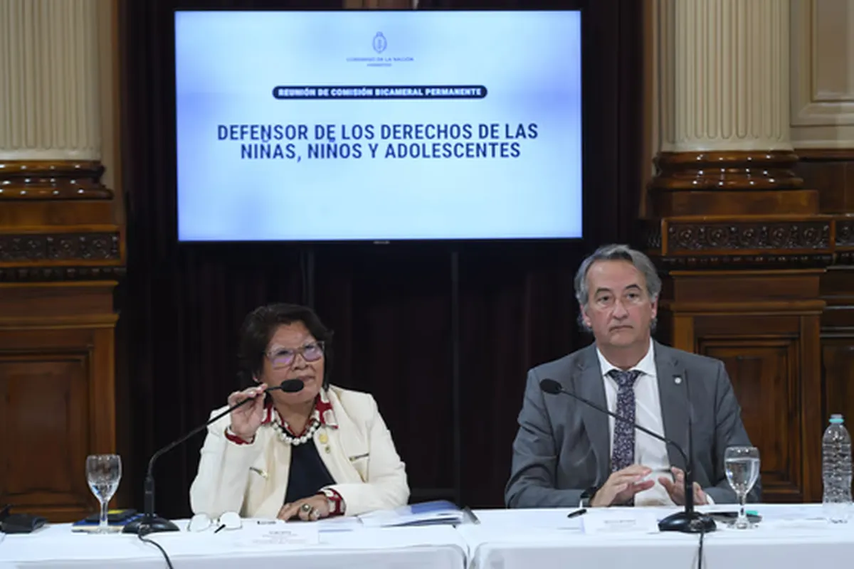 La nueva conducción de La Libertad Avanza de la comisión bicameral de los Derechos de las Niñas, Niños y Adolescentes dejó sin efecto el concurso público que había designado el año pasado a la abogada especializada en temas de género María Paz Bertero como defensora del Niño.