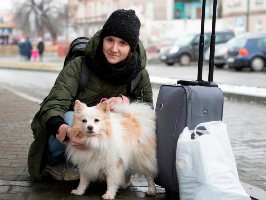 Adoptó al perro que le salvó la vida cuando bombardeaban su casa en Ucrania