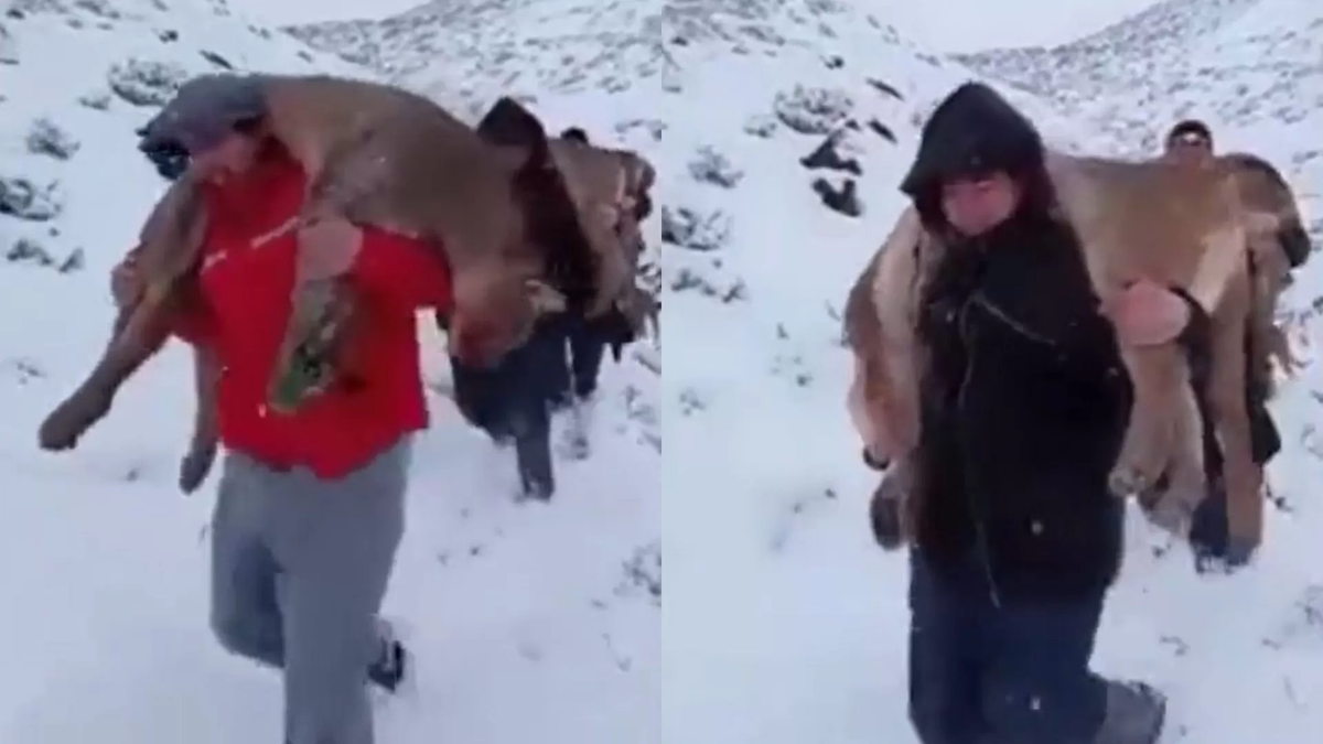 Los cazadores fueron localizados y multados