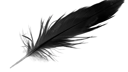 El significado espiritual detrás del hallazgo de una pluma negra