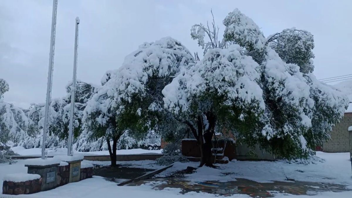 Nieve en Abra Pampa, Jujuy.