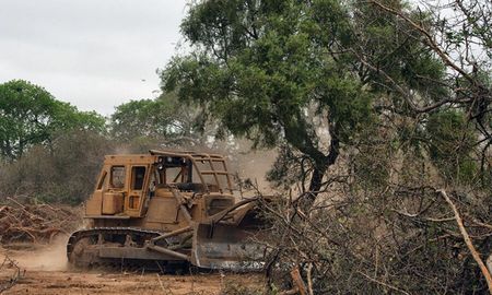 La deforestación agrava el impacto del cambio climático y las consecuencias de las inundaciones. La deforestación agrava el impacto del cambio climático y las consecuencias de las inundaciones.