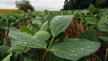 Se vienen las lluvias: ¿cuántos milímetros le tocarían a cada región de Santa Fe?