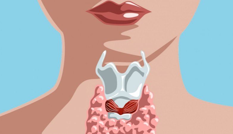 El hipotiroidismo da 22 señales que te ayudan a detectarlo