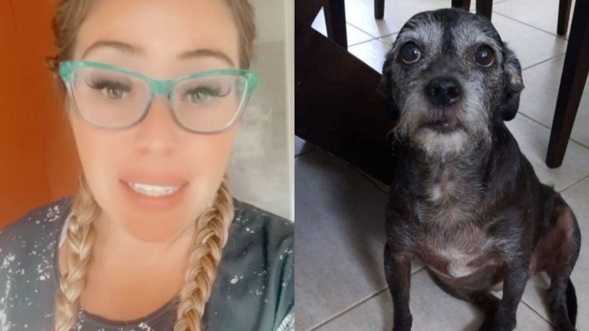 La humorista mostró su angustia luego de que los cohetes afectaran a su perrita Xuxa que debió ser asistida por un veterinario. &nbsp;