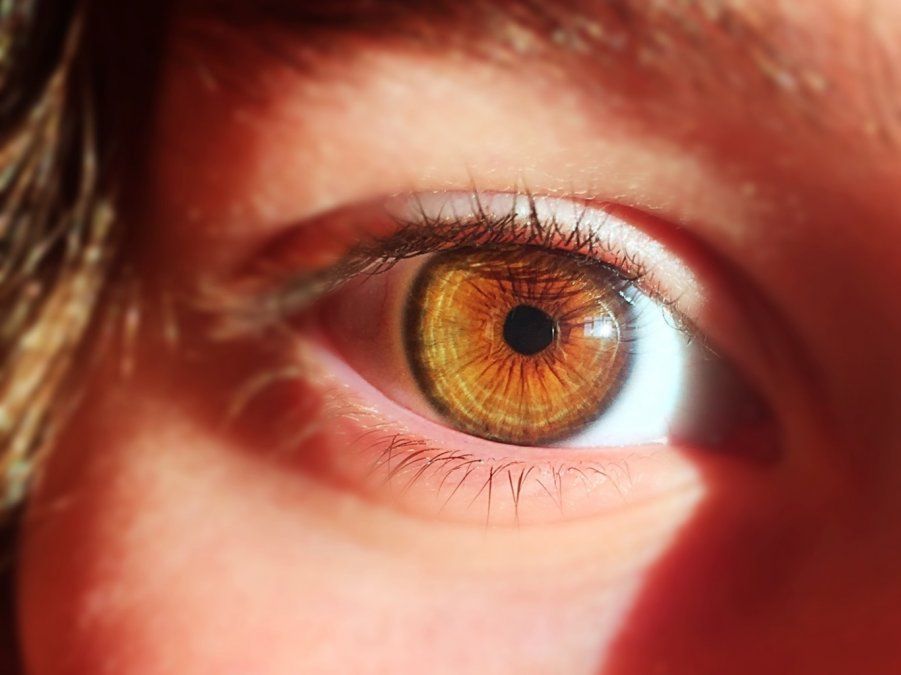 La alimentación juega un papel clave en la salud de la vista y ayuda a prevenir enfermedades oculares, como cataratas o degeneración macular.