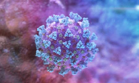 un virologo explica por que el coronavirus es tan mortal un virologo explica por que el coronavirus es tan mortal