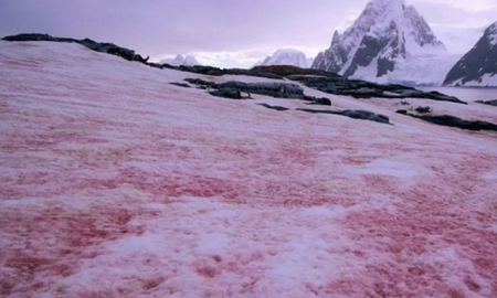 Nieve roja: por qu&eacute; es una mala se&ntilde;al