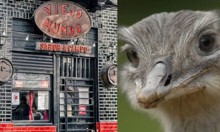 Clausuraron el restaurante Viejo Mundo Bodegón en Buenos Aires por vender carne de rana y ñandú. Clausuraron el restaurante Viejo Mundo Bodegón en Buenos Aires por vender carne de rana y ñandú.