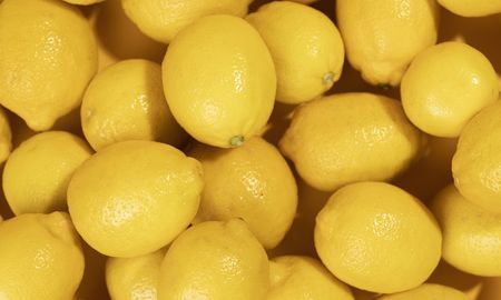 Varias provincias del NEA Y EL NOA producen limones para exportación. Varias provincias del NEA Y EL NOA producen limones para exportación.