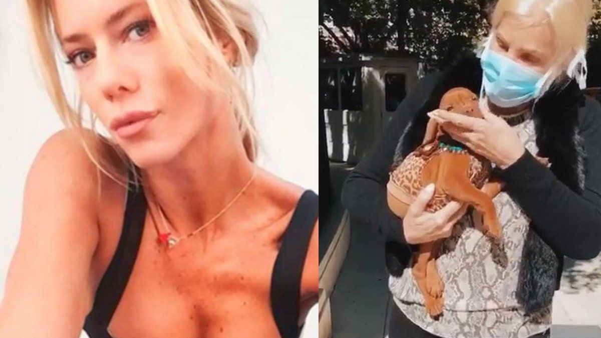 Susana Giménez se sacó de quicio con Nicole Neumann y la insultó