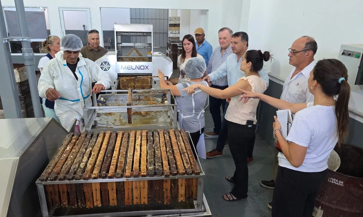 El senador Felipe Michlig visit&oacute; la nueva sala de extracci&oacute;n de miel de la Cooperativa de Apicultores de Ambrosetti.