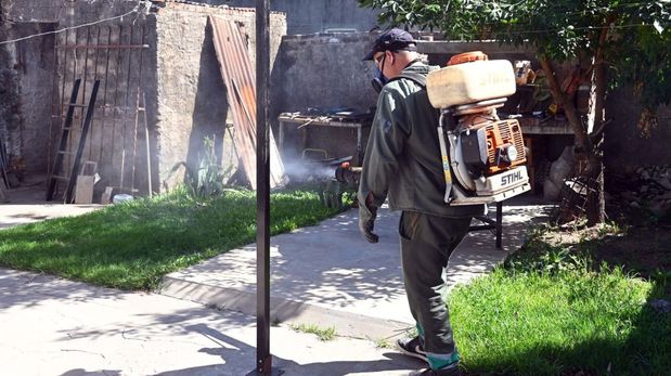 Las autoridades insisten en la importancia de seguir con las medidas preventivas, como la eliminación de criaderos de mosquitos y el uso de repelentes.
