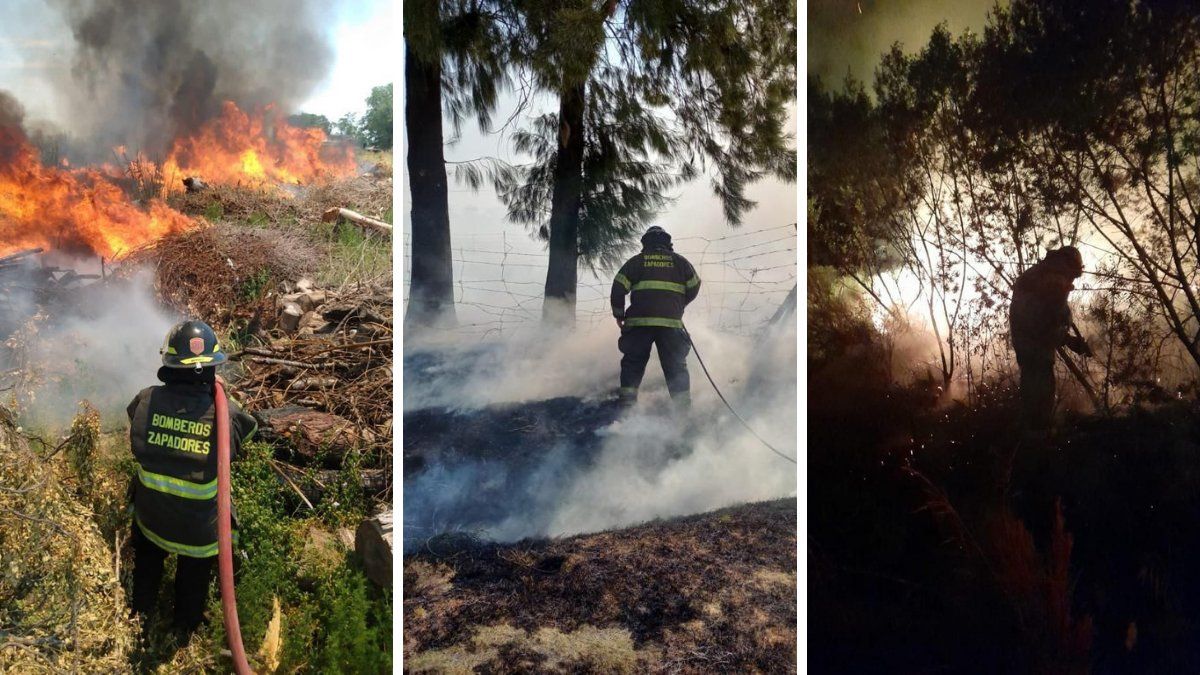 Los bomberos debieron trabajar para contener las llamas en 30 incendios forestales de Santa Fe.