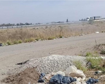 Imputaron a un veterinario que habría arrojado animales muertos en un predio baldío Imputaron a un veterinario que habría arrojado animales muertos en un predio baldío
