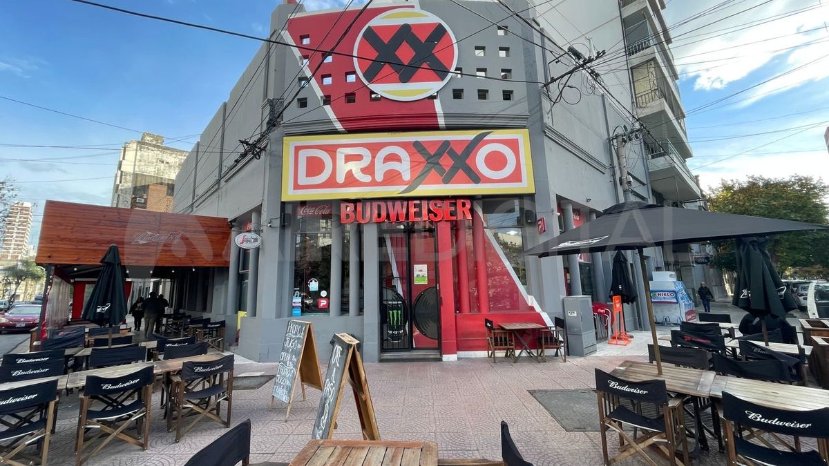 Pasaron 15 días del robo anterior y este sábado volvieron a robarle una silla. Pasaron 15 días del robo anterior y este sábado volvieron a robarle una silla.