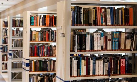 uso de marcalibros un trozo de queso, el bibliotecario lo publico en twitter y las respuestas fueron virales uso de marcalibros un trozo de queso, el bibliotecario lo publico en twitter y las respuestas fueron virales