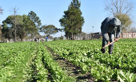 El sector frutihortícola de la provincia de Santa Fe será incluido en la declaración de emergencia y desastre agropecuario, en el marco de la pronunciada bajante de los ríos, la sequía y los diferentes focos de incendio que azotan a la producción. El sector frutihortícola de la provincia de Santa Fe será incluido en la declaración de emergencia y desastre agropecuario, en el marco de la pronunciada bajante de los ríos, la sequía y los diferentes focos de incendio que azotan a la producción.