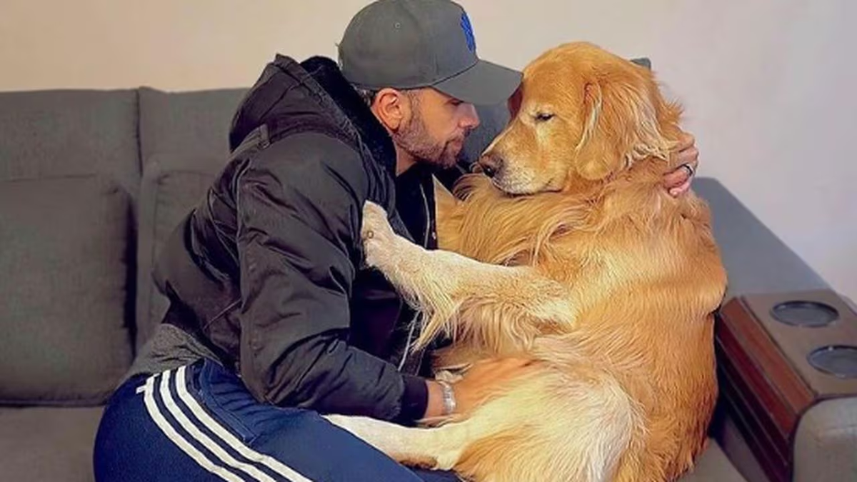 Tragedia inimaginable: una aerolínea equivocó el destino y un perro murió