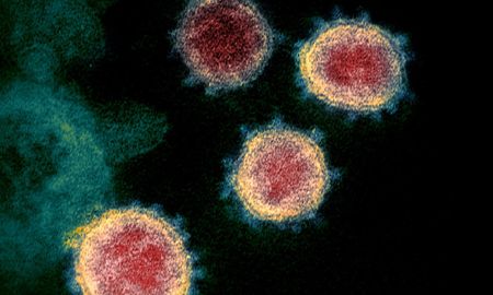 cientificos descubrieron que el nuevo coronavirus puede sobrevivir a mas de 60 grados cientificos descubrieron que el nuevo coronavirus puede sobrevivir a mas de 60 grados