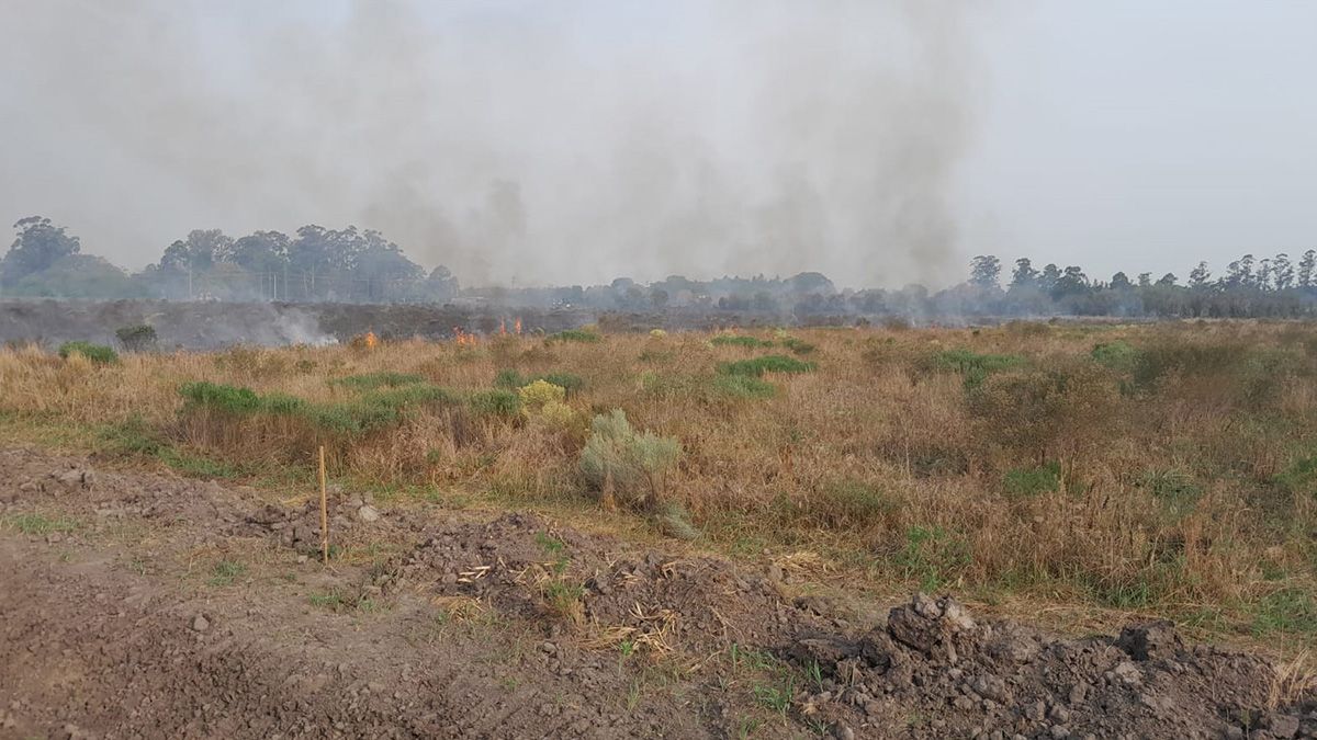 ﻿Los incendios afectaron parte de la reserva provincial Virá - Pitá