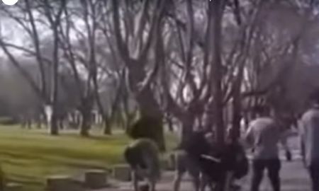 Ultrafanáticos de Aldosivi ataron a un poste a un hincha de Lanús en la previa del partido Ultrafanáticos de Aldosivi ataron a un poste a un hincha de Lanús en la previa del partido