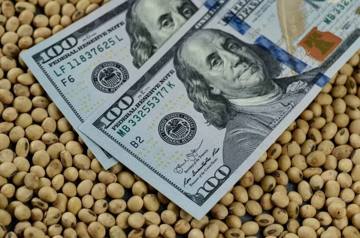 ANSES continúa con el calendario de pagos de la AUH, Becas Progresar, Programa Alimentar y jubilaciones, entre otros.