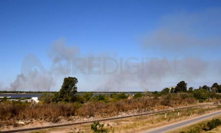 Las quemas y los incendios no cesan en el Delta del Paraná. Las quemas y los incendios no cesan en el Delta del Paraná.