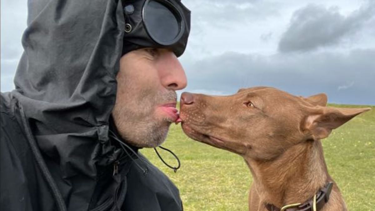Liam Gallagher eligió una foto junto a Buttons, una perra rescatada, para su perfil en WhatsApp. Liam Gallagher eligió una foto junto a Buttons, una perra rescatada, para su perfil en WhatsApp.