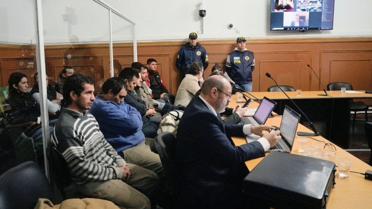 La PROCUNAR imputó en Rosario a ocho personas acusadas de integrar una organización dedicada al narcotráfico internacional que ingresó 442 kilos de cocaína al país en una avioneta proveniente de Bolivia. La PROCUNAR imputó en Rosario a ocho personas acusadas de integrar una organización dedicada al narcotráfico internacional que ingresó 442 kilos de cocaína al país en una avioneta proveniente de Bolivia.