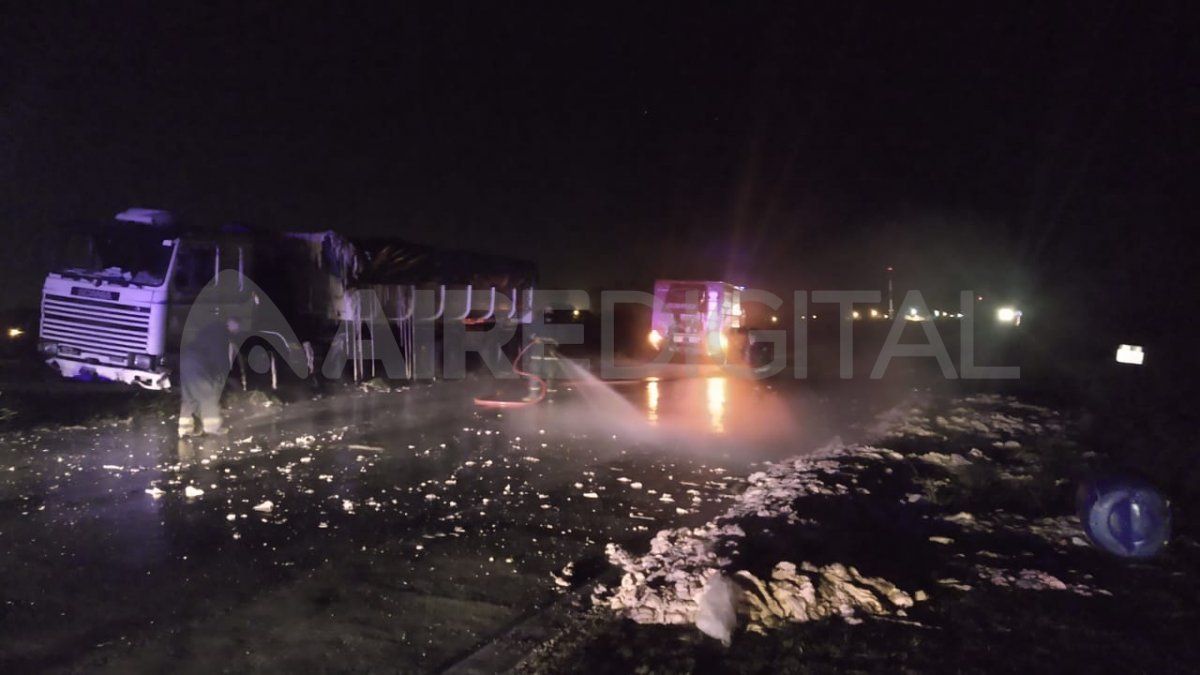 Un camión&nbsp; se accidentó y volcó vísceras sobre la calzada