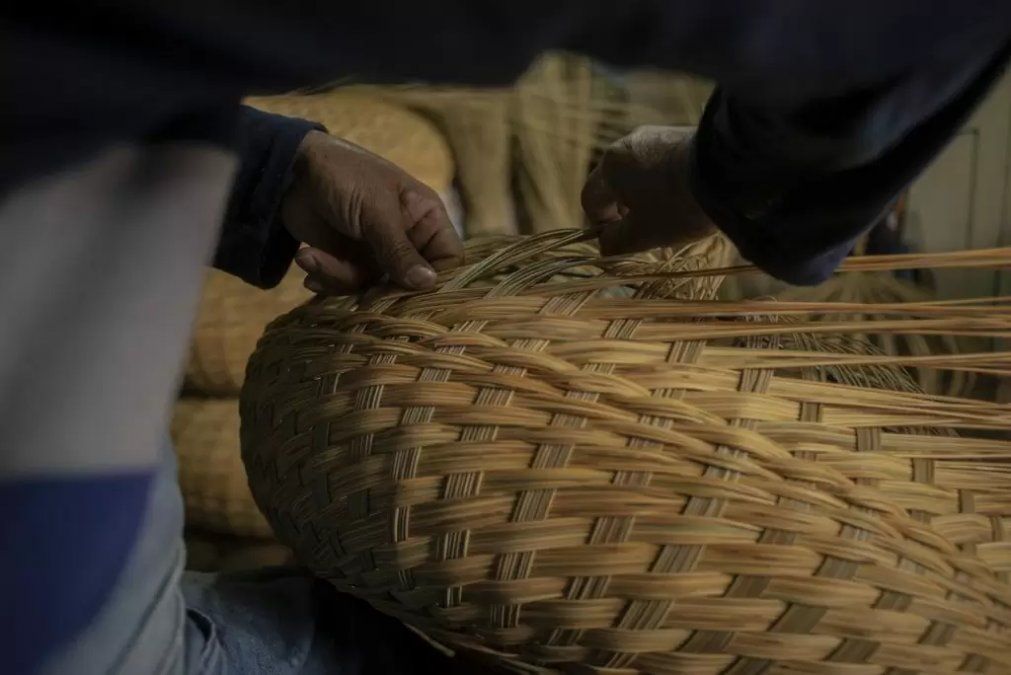 Con curaduría de Franca López Barbera, una investigadora argentina radicada en Berlín,