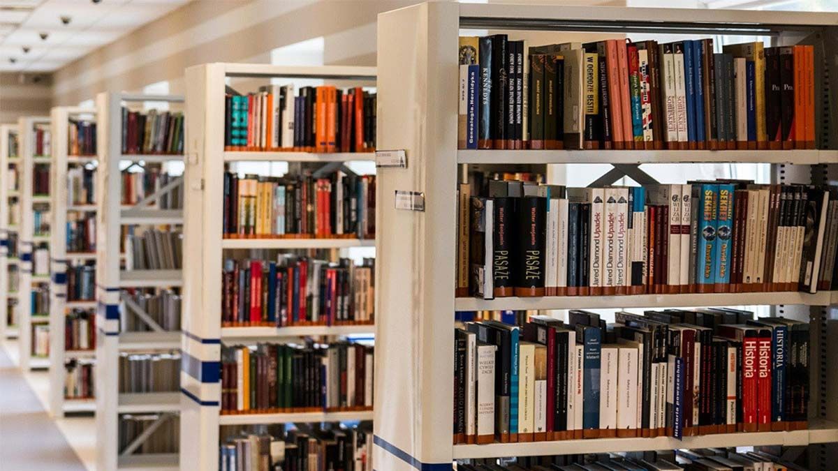 Usó de marcalibros un trozo de queso, el bibliotecario lo publicó en twitter y las respuestas fueron virales