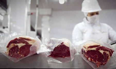 Diez trabajadores de un frigorífico de Entre Ríos tuvieron que ser internados por un brote de fiebre Q y respondieron de manera favorable. Diez trabajadores de un frigorífico de Entre Ríos tuvieron que ser internados por un brote de fiebre Q y respondieron de manera favorable.