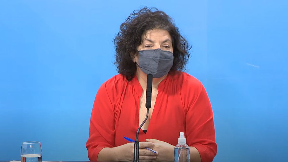 Vizzotti dijo que el malentendido que hubo el martes con los dichos de Covax sobre Pfizer y Argentina "es grav&iacute;simo".